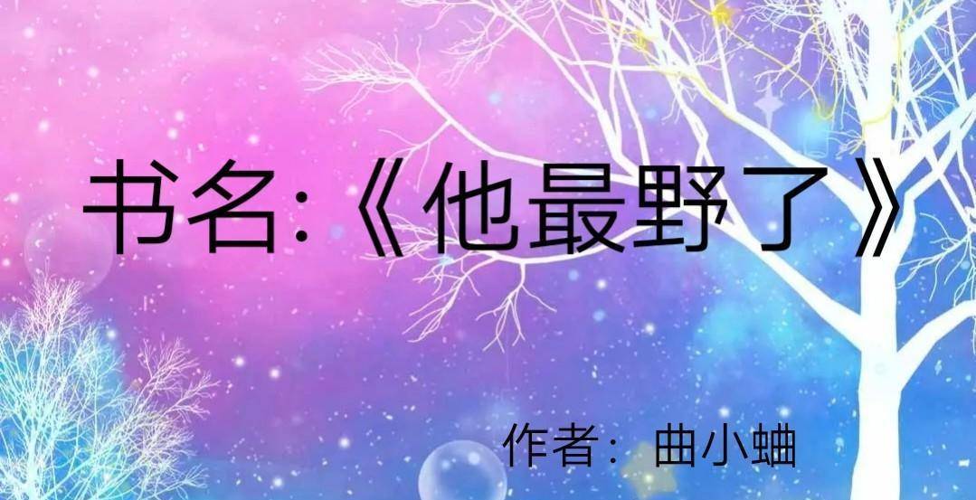 现言小说，甜文《我的印钞机女友》《他最野了》只有她收服得住！