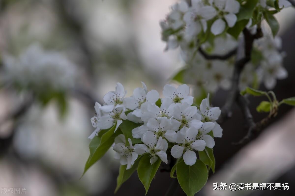 林黛玉与北静王_林黛玉与北静王下载_宁北王