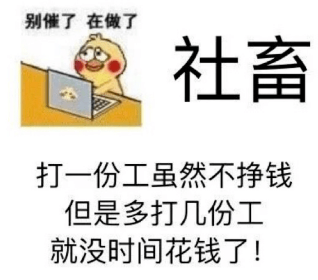 你们不会真以为自己很高贵吧？