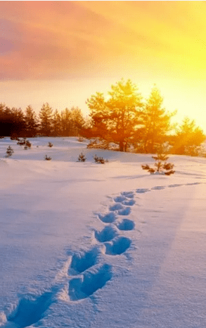 岁暮落雪，且听那些关于冬天的故事……