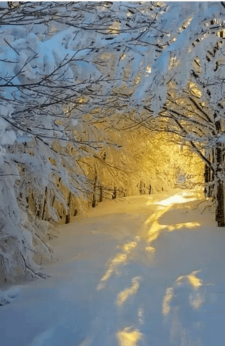 岁暮落雪，且听那些关于冬天的故事……