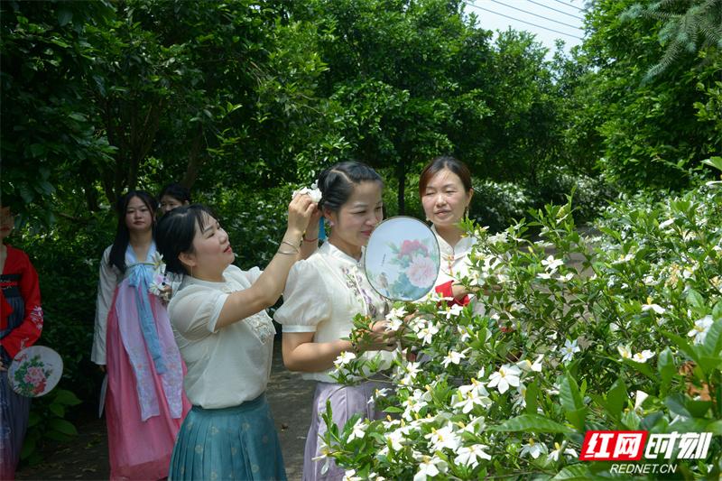 神农药园笔趣阁_神农药园_大话神仙药园种植